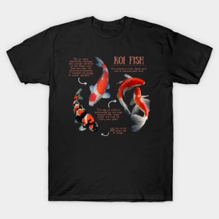 Animal Facts - Koi Fish T-Shirt